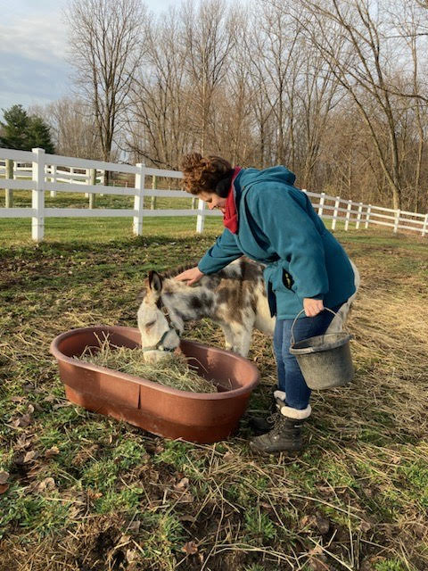 Me petting a white donkey named Domino.